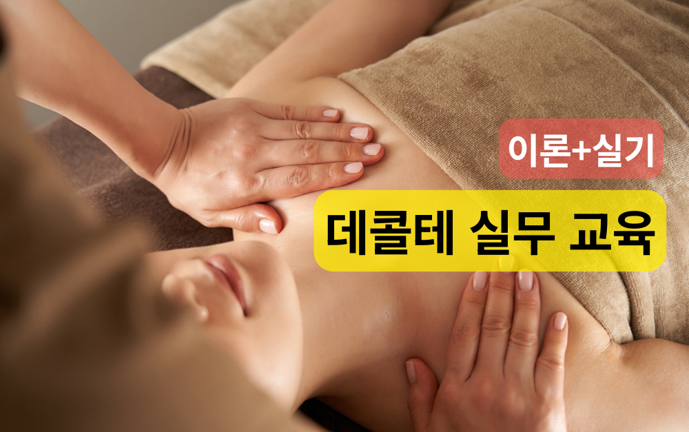 [8/8,토][데콜테실전/충남 예산] 데콜테 실무 교육 (이론+실습)