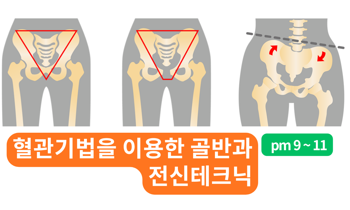 [8/12,수][줌교육/9~11PM] 혈관기법을 이용한 골반과 전신테크닉
