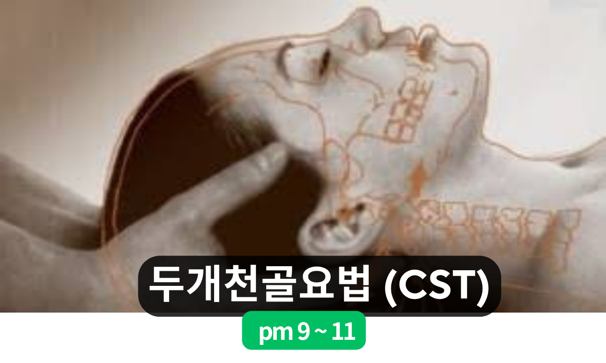 [8/8,토][줌교육/9~11PM] 두개천골요법(CST)