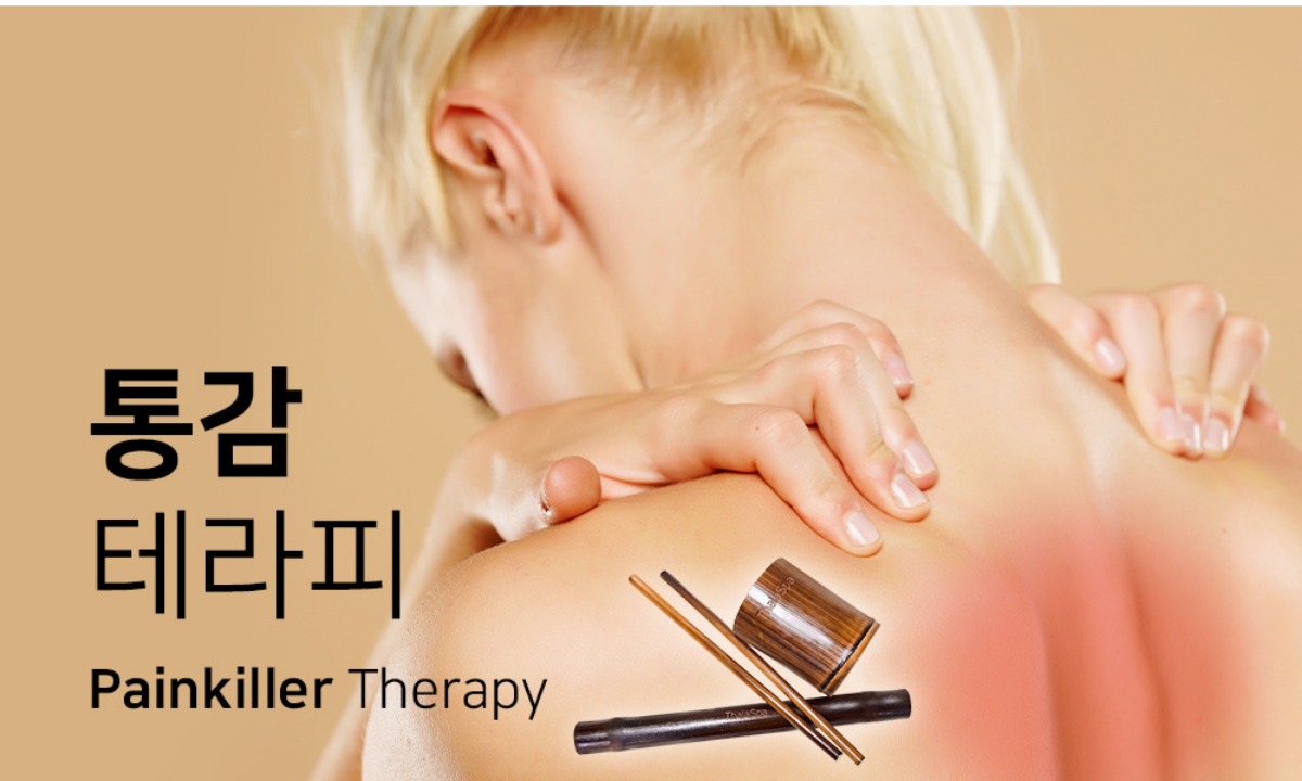[10/7,수][제휴세미나/서울 서초구] 통감테라피 : 경직된 근육이완 통증 감소 솔루션