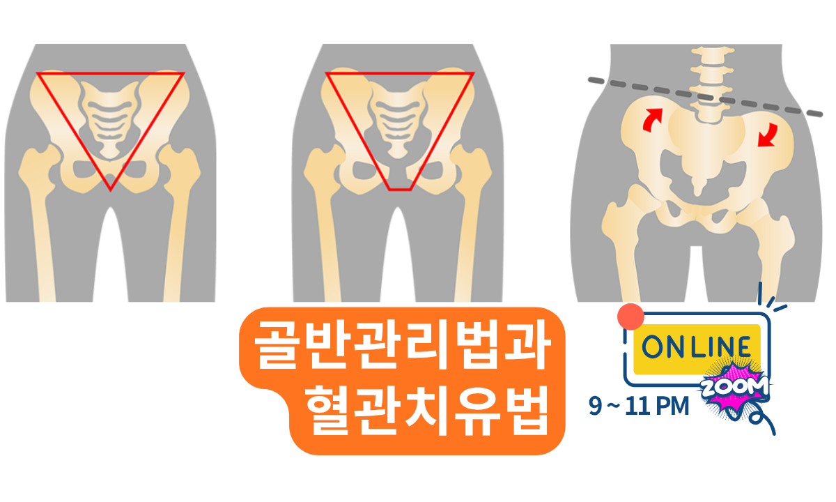 [10/31,토][줌교육/9~11PM] 골반관리법과 혈관치유법