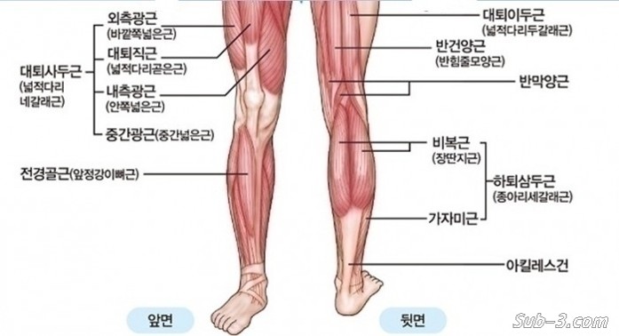 그림1.jpg