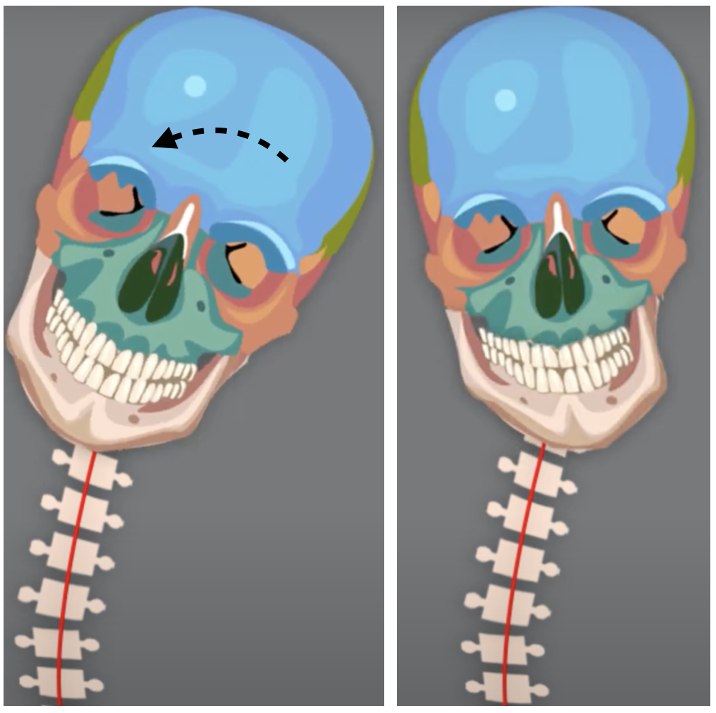 8.png