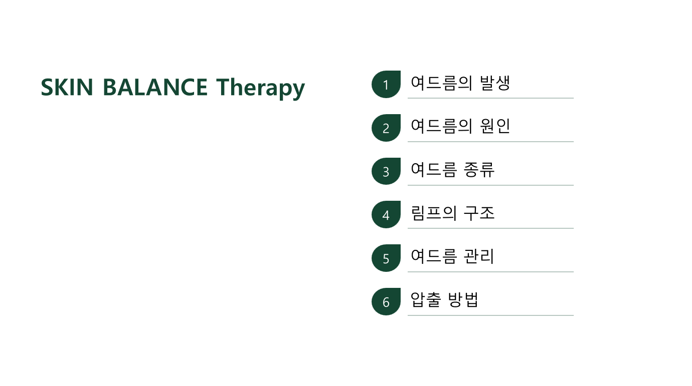 세미나 이미지_목차.png