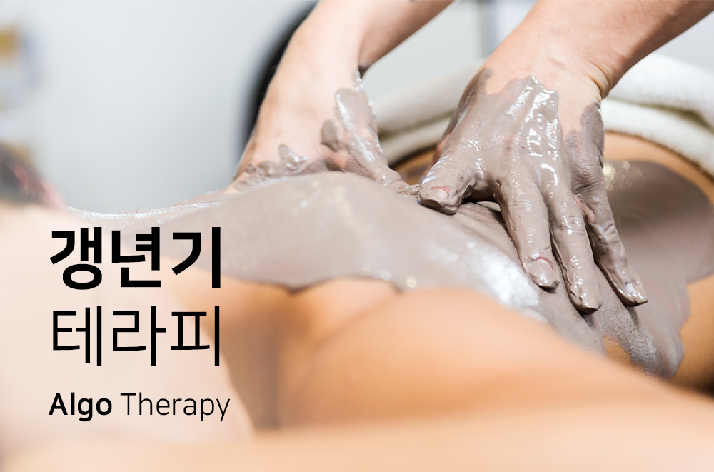 갱년기 테라피.jpg