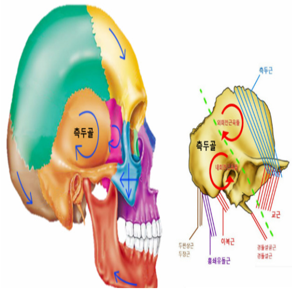 20.png